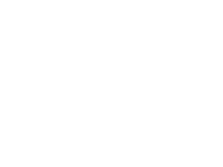 Loader